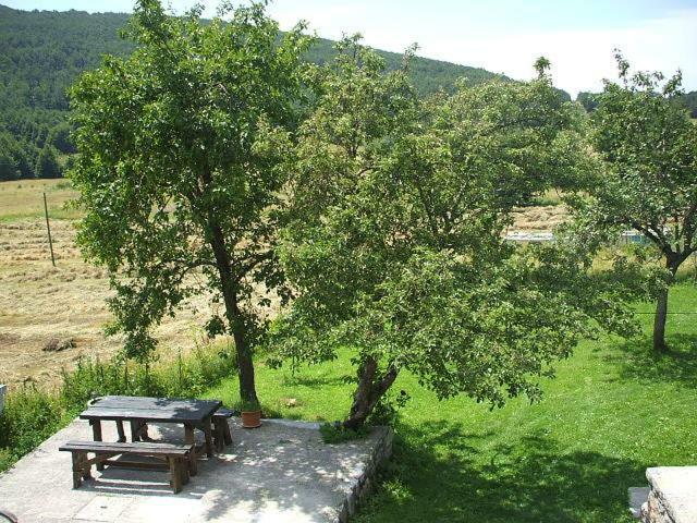 Apartment Ema Stolac Exterior foto